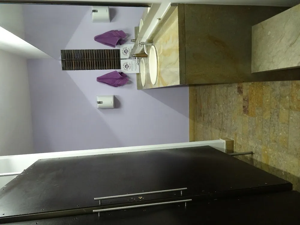 Purple Monkey Hostel Medellín