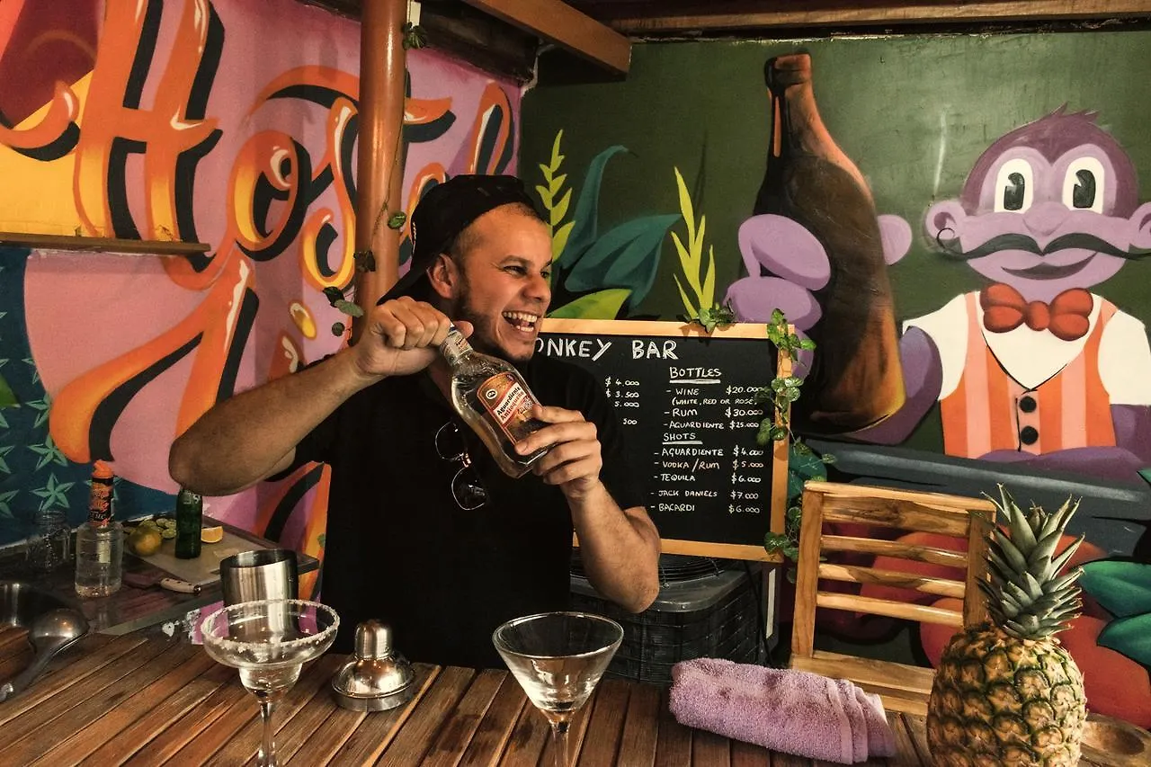 Purple Monkey Hostel Medellín Colômbia