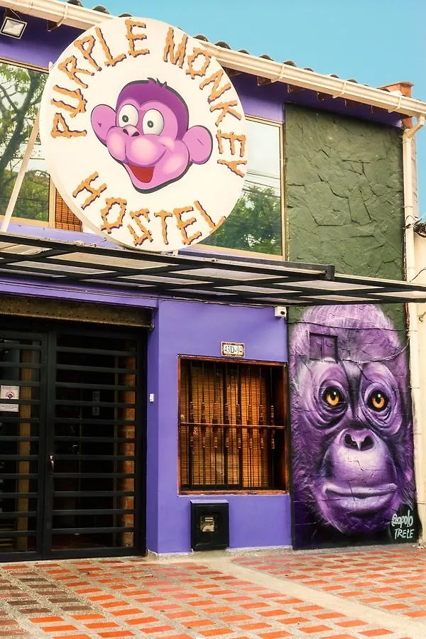 Purple Monkey Hostel Medellin Colombia