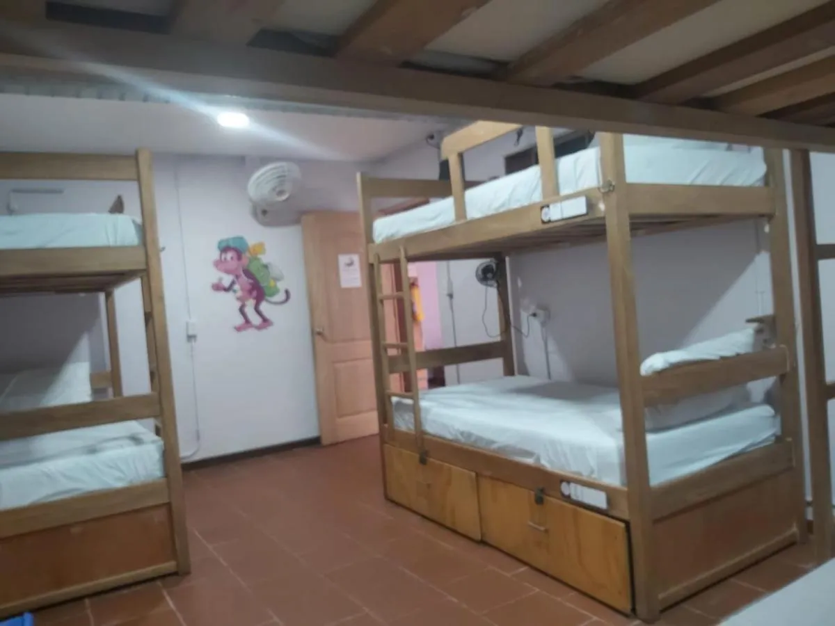 **  Purple Monkey Hostel Medellin Colombia