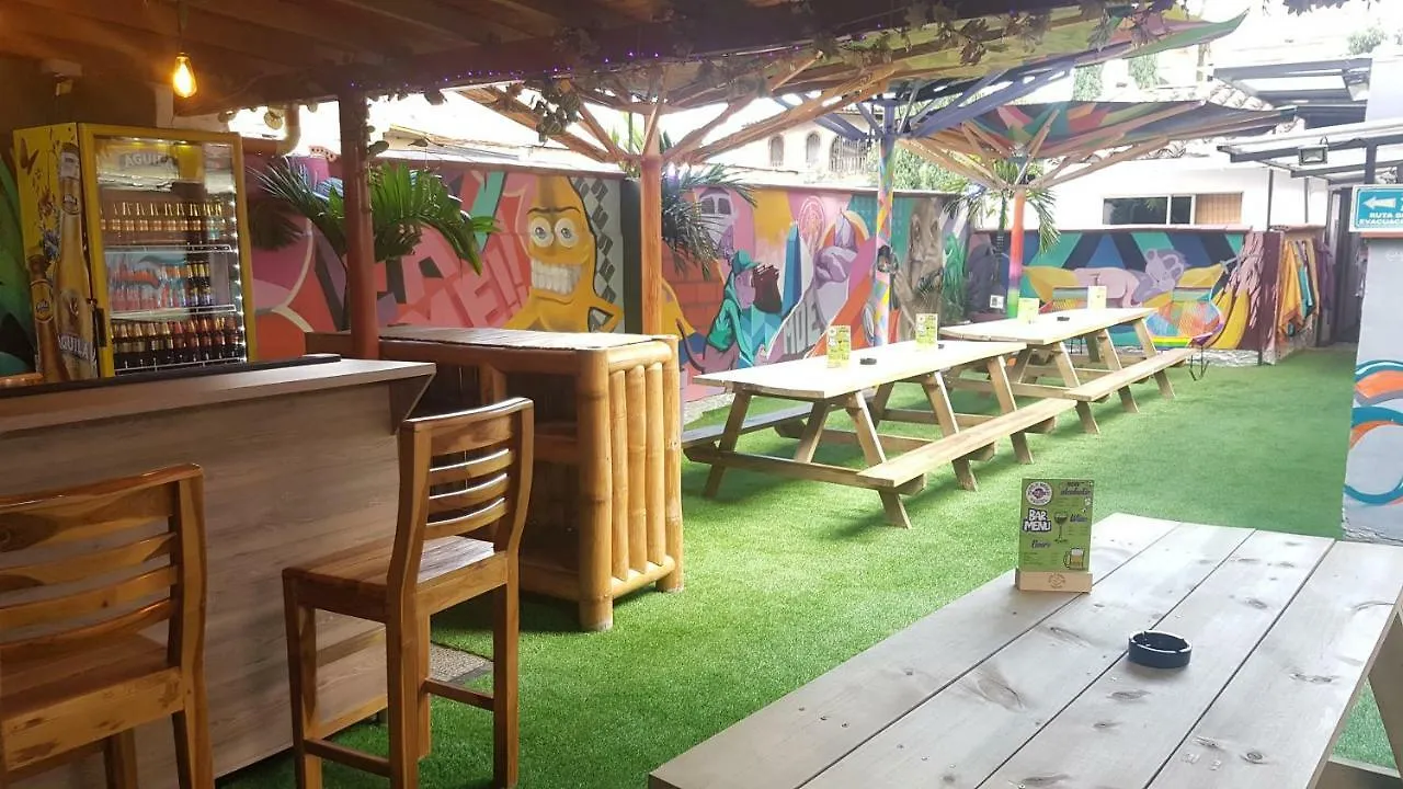 Purple Monkey Hostel Medellin