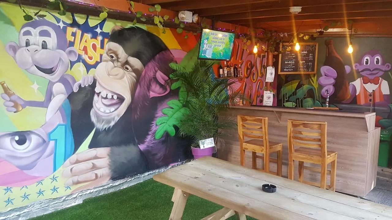 Purple Monkey Hostel Medellin 2*,