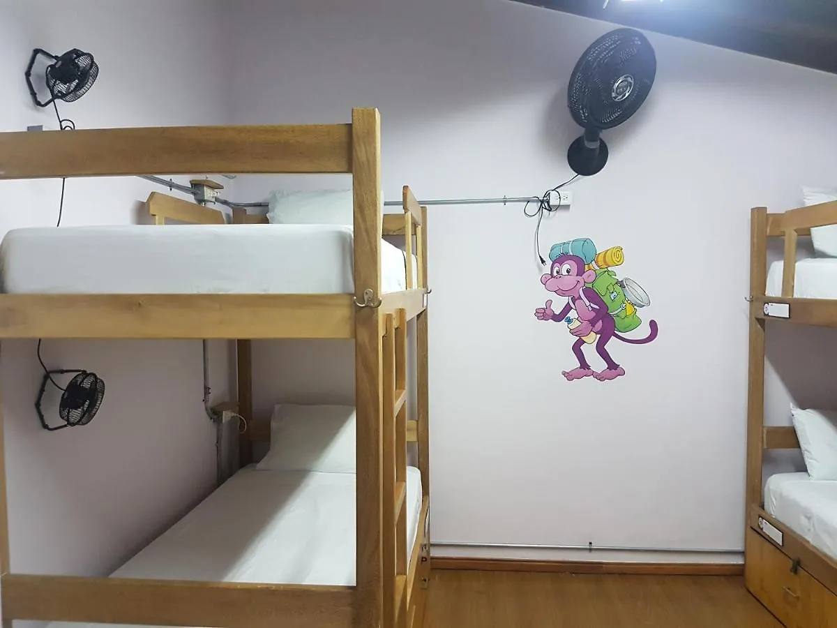 **  Purple Monkey Hostel Medellin Colombia