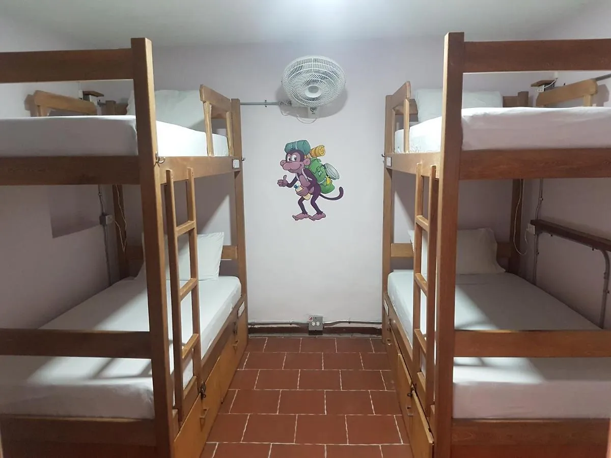 Purple Monkey Hostel Medellin Colombia