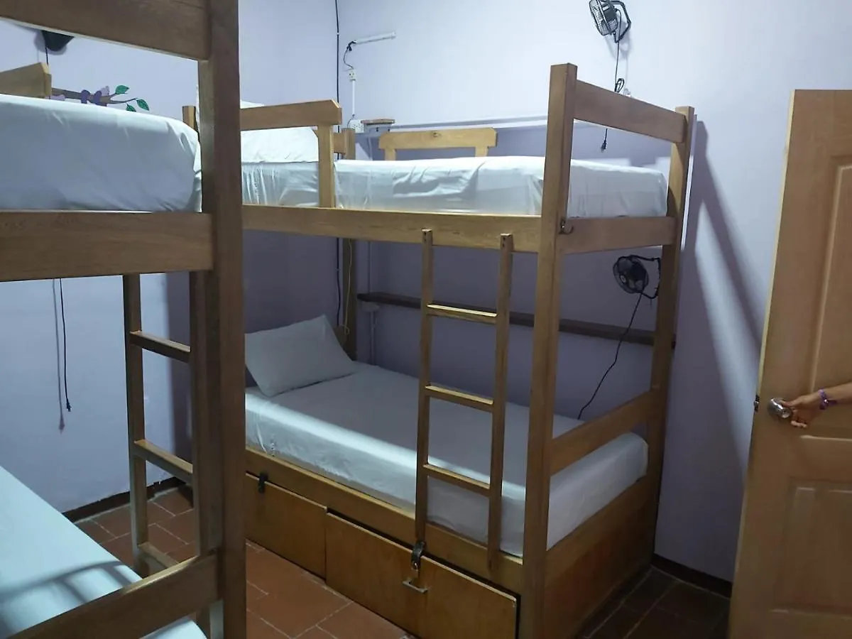 Purple Monkey Hostel Medellin 0*,
