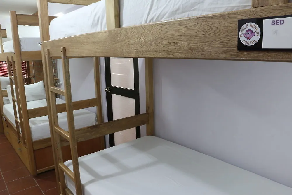 Purple Monkey Hostel Medellin 0*,  Colombia